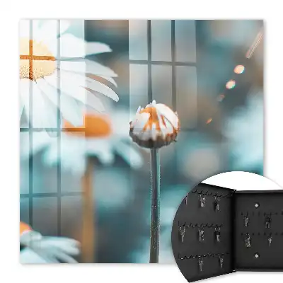 Wall mounted key cabinet Floral lightness blurred background