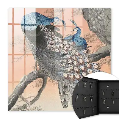 Decorative key box Peacock beauty in pastel background