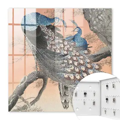 Decorative key box Peacock beauty in pastel background