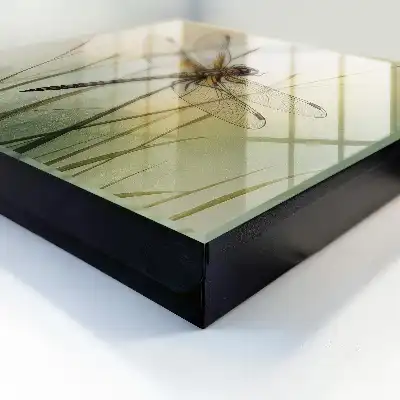 Key box for home Dragonfly nature elegance