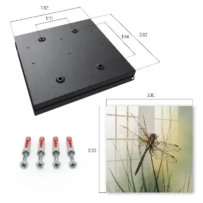 Key box for home Dragonfly nature elegance