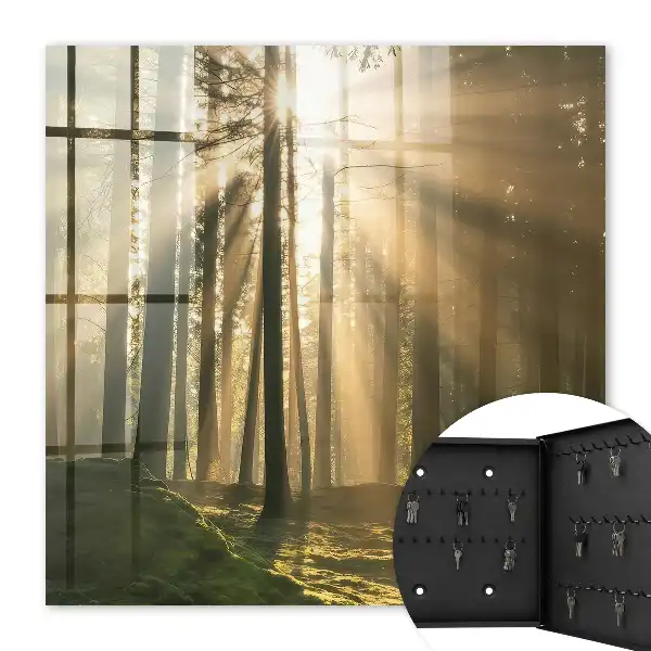 Wall mounted key box Forest light, magical atmosphere