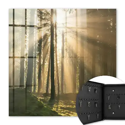 Wall mounted key box Forest light, magical atmosphere