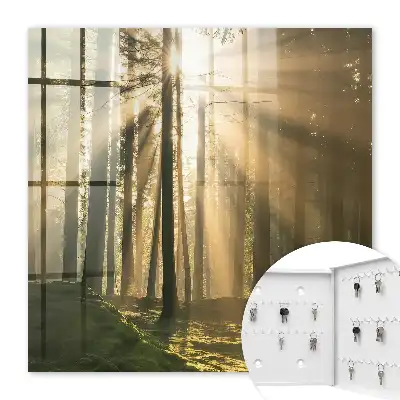Wall mounted key box Forest light, magical atmosphere