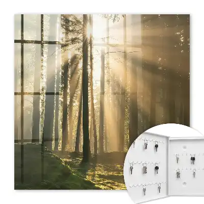 Wall mounted key box Forest light, magical atmosphere