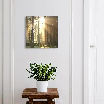 Wall mounted key box Forest light, magical atmosphere
