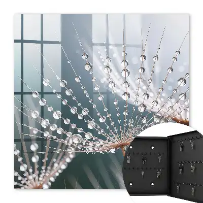 Wall mounted key cabinet Drops of water in the grass threads
