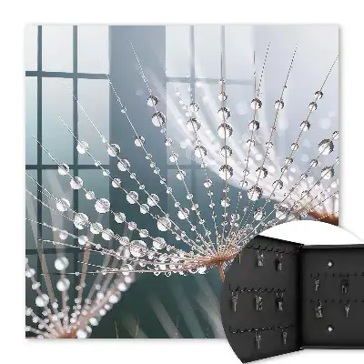 Wall mounted key cabinet Drops of water in the grass threads