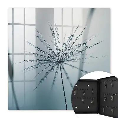 Key cabinet Dandelion and graceful water drops