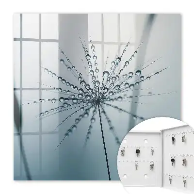 Key cabinet Dandelion and graceful water drops