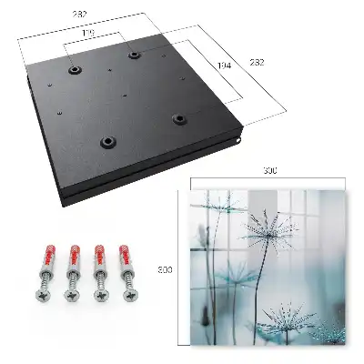 Wall mounted key box Dandelions and dew details nature