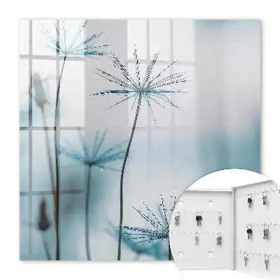 Wall mounted key box Dandelions and dew details nature