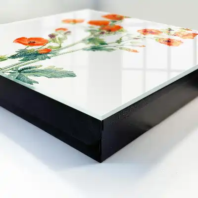 Wall mounted key cabinet Orange poppies green
