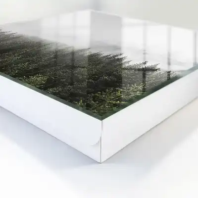 Key box for home Foggy pines highlighted with greenery