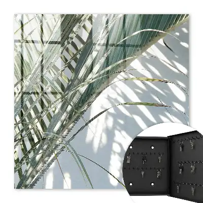 Wall mounted key box Palm trees and shadows in the light background