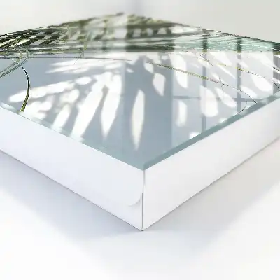 Wall mounted key box Palm trees and shadows in the light background