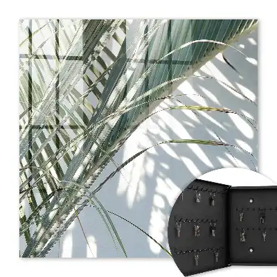Wall mounted key box Palm trees and shadows in the light background