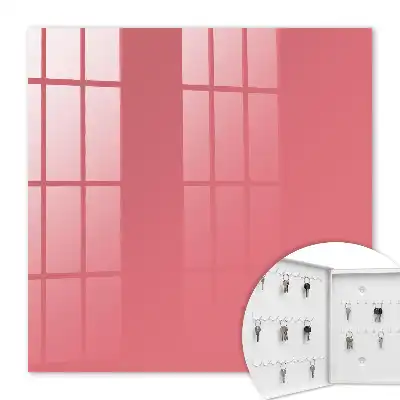 Wall mounted key box Salmon color harmony simplicity