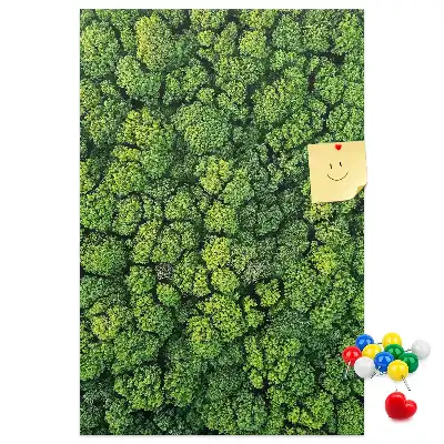 Forest Nature Tree Cork Note Board