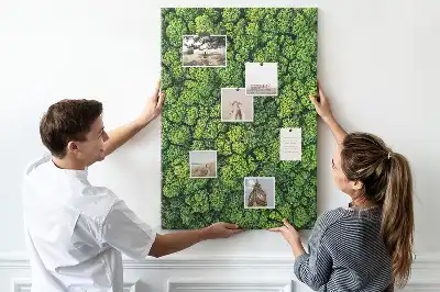 Forest Nature Tree Cork Note Board
