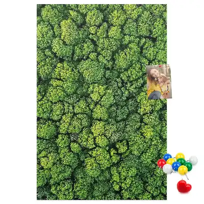 Forest Nature Tree Cork Note Board
