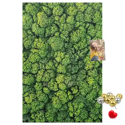 Forest Nature Tree Cork Note Board