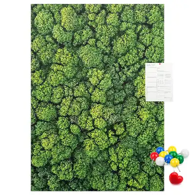 Forest Nature Tree Cork Note Board