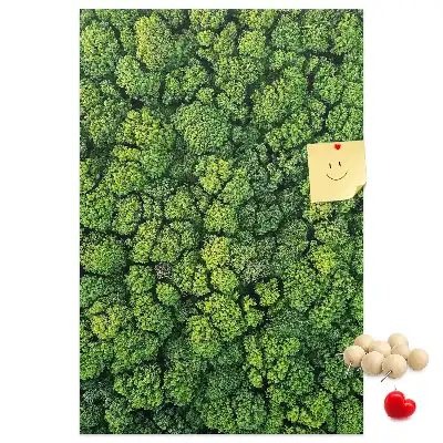 Forest Nature Tree Cork Note Board