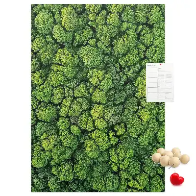 Forest Nature Tree Cork Note Board