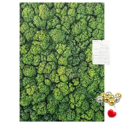 Forest Nature Tree Cork Note Board