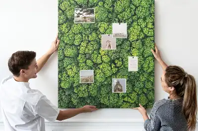 Forest Nature Tree Cork Note Board