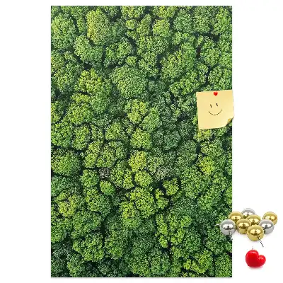 Forest Nature Tree Cork Note Board