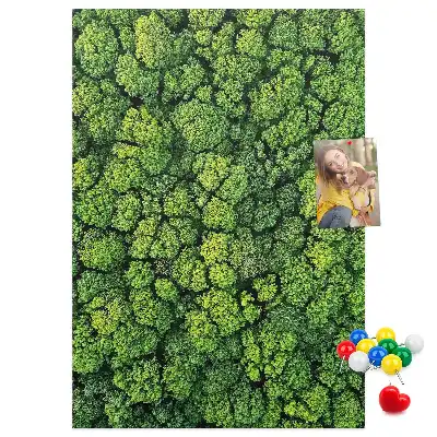 Forest Nature Tree Cork Note Board
