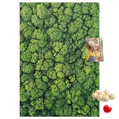 Forest Nature Tree Cork Note Board