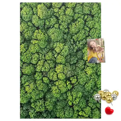 Forest Nature Tree Cork Note Board
