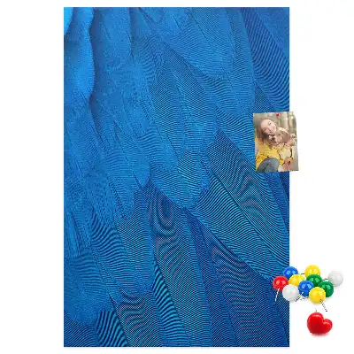 Parrot feathers cork pin board