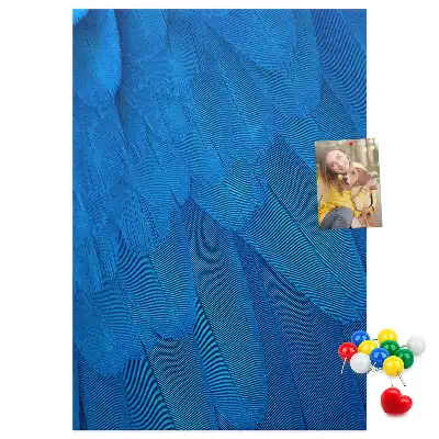 Cork pin board Parrot feathers