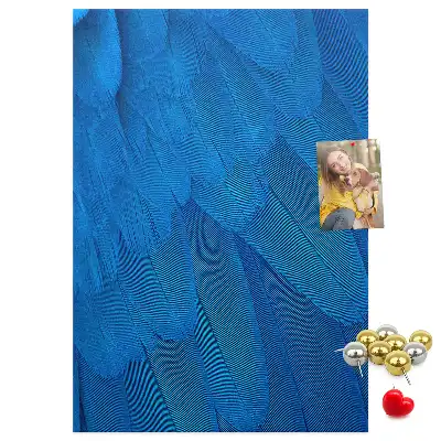 Parrot feathers cork pin board