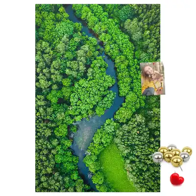 Cork Note Board Forest stream