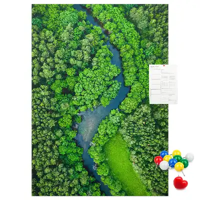 Cork Note Board Forest stream