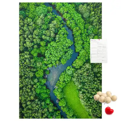 Cork Note Board Forest stream