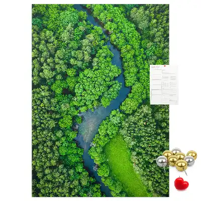 Cork Note Board Forest stream