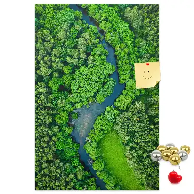 Cork Note Board Forest stream