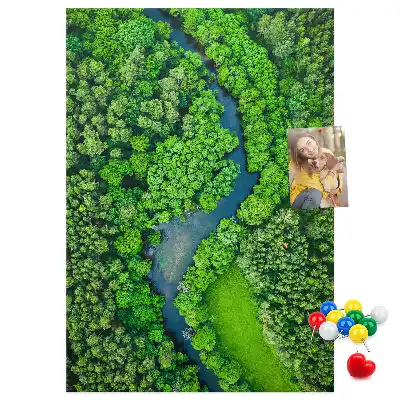 Cork Note Board Forest stream