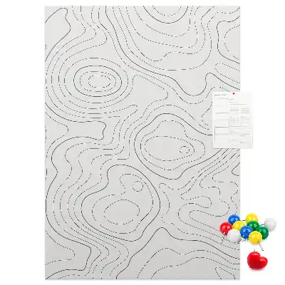 Linear Abstraction Cork Pin Board