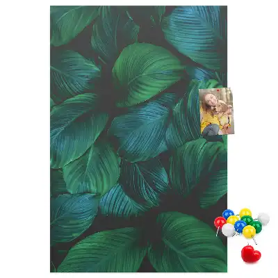 Large Tropical Leaf Cork Note Board