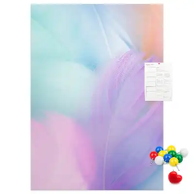 Pastel feathers cork pin board