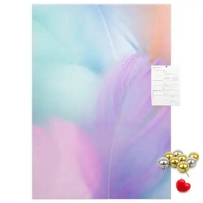 Cork pin board Pastel feathers
