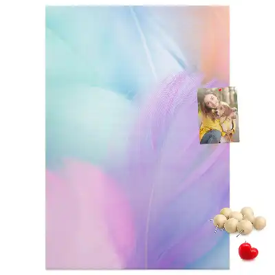 Pastel feathers cork pin board