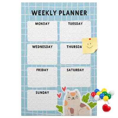 Weekly schedule cork pin board